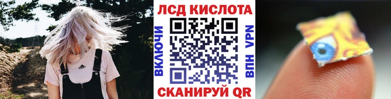 KRAKEN как зайти  Макаров  Наркотические марки 1500мкг 